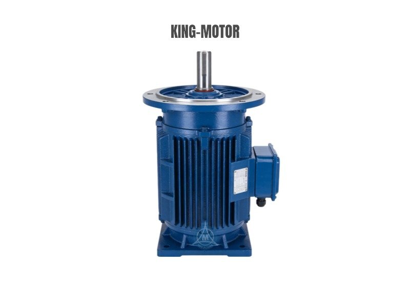 Chemical pump long shaft motor