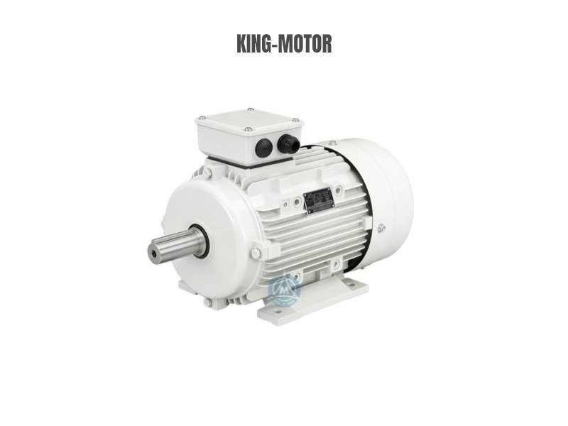 Premium Efficiency Motor IE3 Aluminum Series