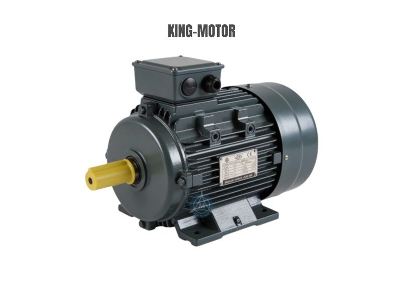 Super Premium Efficiency Motor YE4 Series