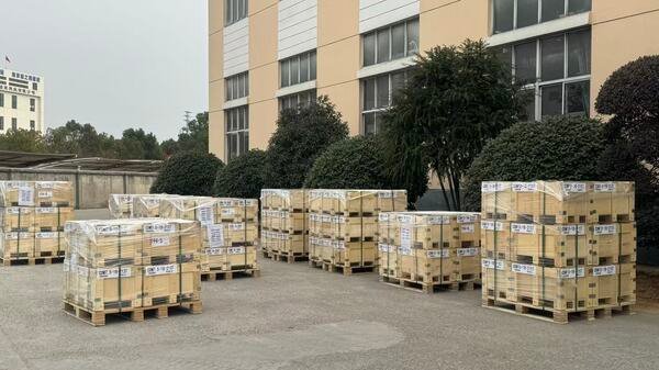 Global Market Expansion