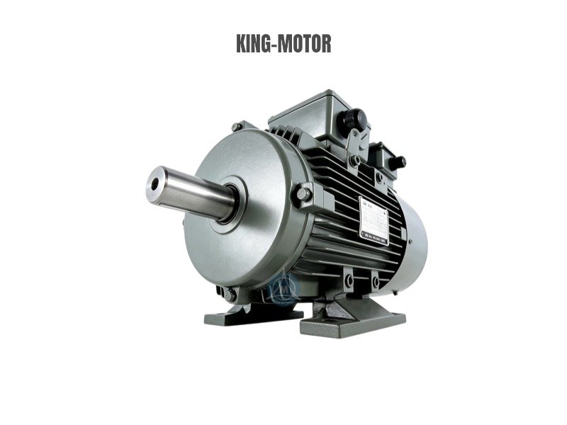 Three Phase Induction Adjustable Frequency Electric Aluminum Motor