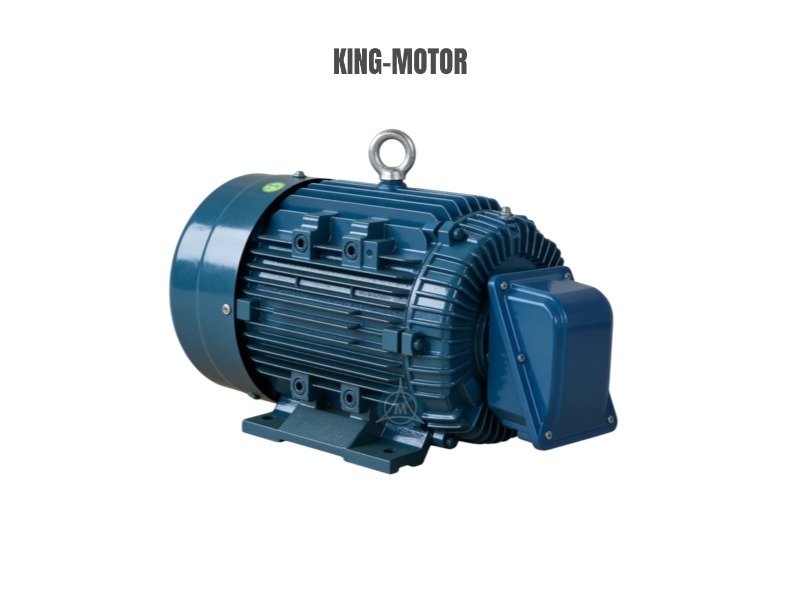 Three Phase Induction Adjustable Frequency Electric Motor
