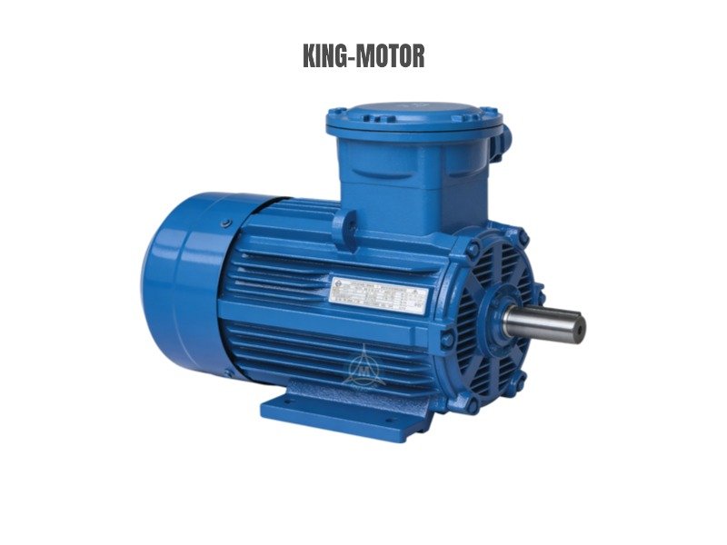 YBBP frequency conversion explosion-proof motor series -TEFC