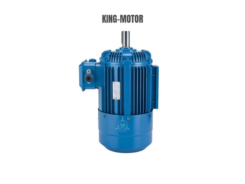 Oil pump motor